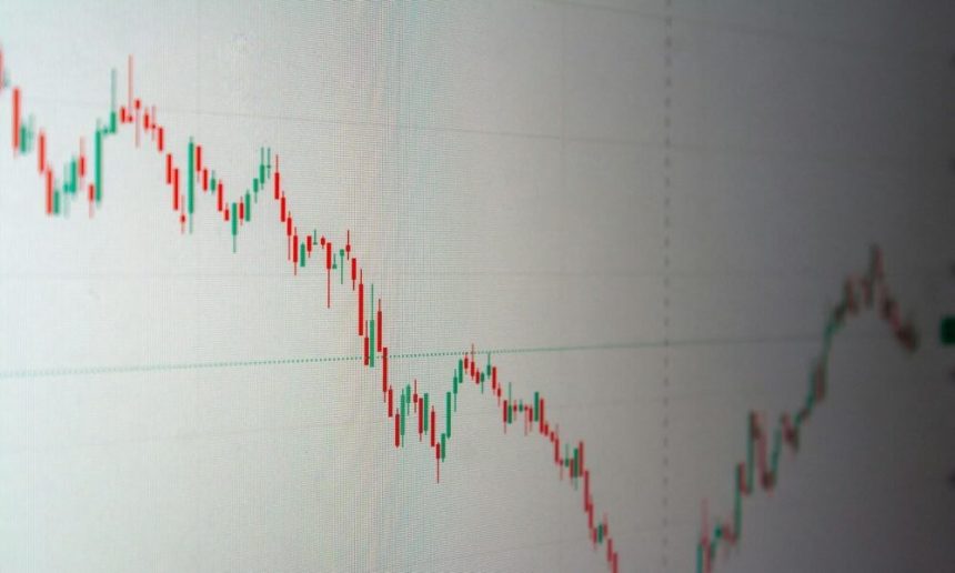 startup-survival-guide:-how-to-weather-2025's-cash-and-liquidity-storm