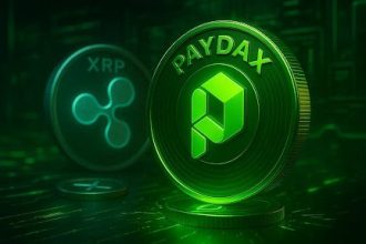 market-expert:-the-xrp-price-will-rise-50%-soon,-but-only-this-new-altcoin-will-make-you-rich